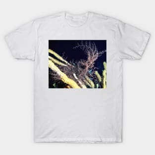 Giant Basket Star at night T-Shirt